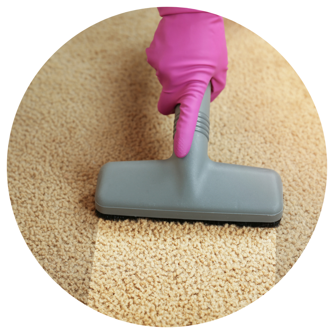 carpet cleaning